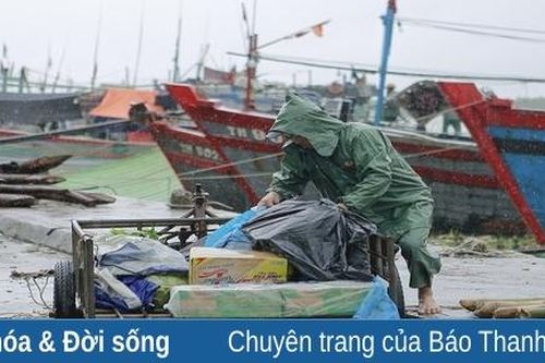 Ngư dân Hoằng Trường tất bật ra khơi sau những ngày mưa bão