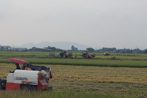 Chạm vào tháng 10…