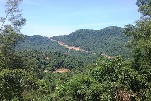 Công ty đấu giá bị chính quyền huyện tố vi phạm Luật Đấu giá tài sản