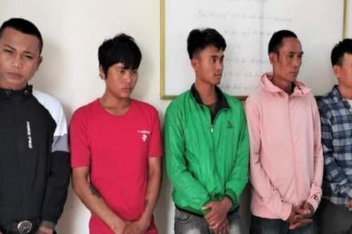 Vào khu bảo tồn chặt gỗ quý hiếm, khai báo gian dối vẫn không thoát