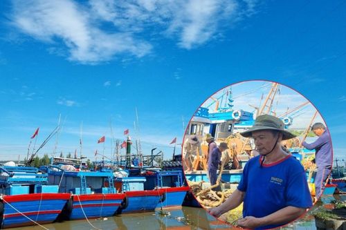 Bão tan, giá dầu 'hạ nhiệt', ngư dân Quảng Ngãi hối hả vươn khơi