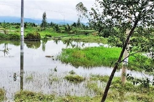 Phát hiện thi thể nổi bên lạch nước sau khi lũ rút ở Hà Tĩnh