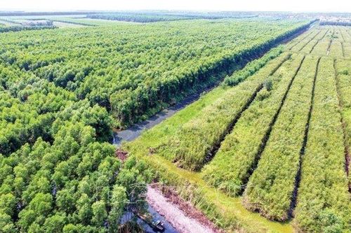 Công ty đấu giá bị tố giữ hơn 7,5 tỷ đồng nhưng không chịu trả
