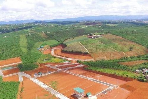 Thế nào bị coi là chuyển mục đích sử dụng đất trái phép?