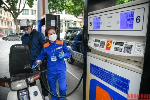 Giá cước vận tải giảm 'nhỏ giọt' so với giá xăng dầu