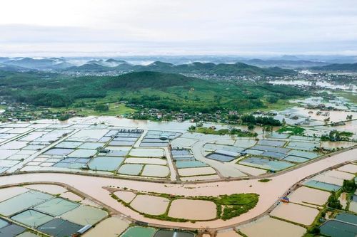 Nghệ An: Hàng nghìn héc-ta ao, hồ nuôi thủy sản có nguy cơ bị mất trắng