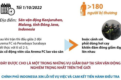 Nhìn lại vụ bạo loạn sân cỏ kinh hoàng tại Indonesia