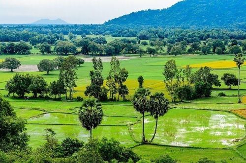 An Giang: Hơn 183 tỷ đồng đầu tư phát triển vùng DTTS và miền núi thuộc Chương trình mục tiêu quốc gia