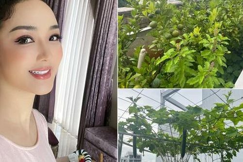 Hoa hậu Giáng My bên thành quả thu hoạch rau củ quả 'bội thu' trong biệt thự xa hoa