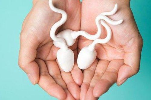 Nguyên nhân nào khiến nam giới vô tinh?