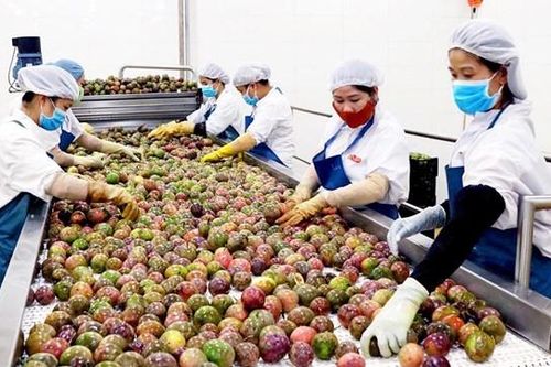 Việt Nam đóng vai trò là 'bệ phóng' cho châu Á