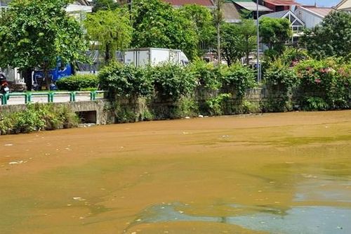 Nước hồ Trái tim ở TP Huế đổi màu bất thường