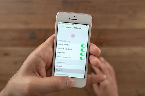Touch ID sẽ không quay lại iPhone