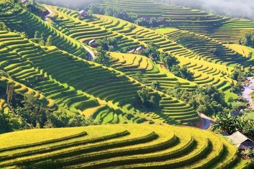 Một vụ việc, nhiều điểm soi chiếu