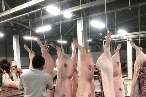 Chủ tịch UBND tỉnh Đồng Nai chỉ đạo xử lý dứt điểm việc giết mổ lậu