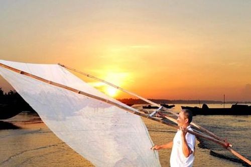 Mùa tép nhảy trên biển Trà Cổ