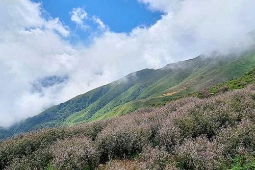 Chinh phục đỉnh Tà Chì Nhù - Trải nghiệm khó quên