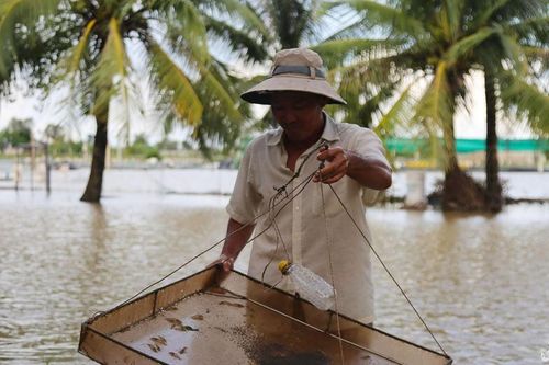 Lúa gạo, cá tôm trôi theo nước lũ, nông dân 'trắng tay'