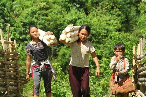 Nghệ An phân bổ gần 700 tấn gạo cứu đói cho 6 huyện vùng cao kỳ giáp hạt