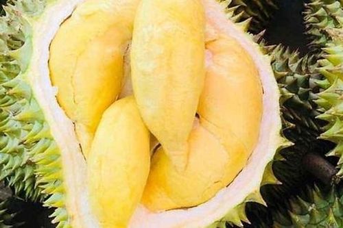 2 bộ phận 'quý như vàng' của sầu riêng cực tốt cho sức khỏe mà ai cũng vứt đi