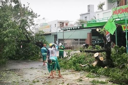 Những người lặng thầm sau cơn bão