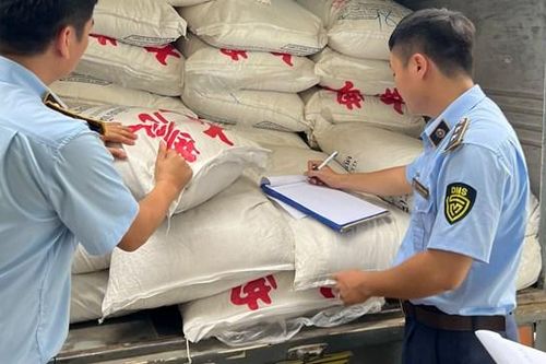 Quảng Bình: Bắt xe tải chở 7 tấn đường 'lậu' đi tiêu thụ