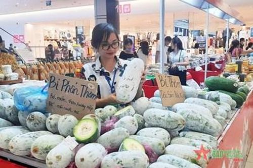 Hiệu quả kinh tế từ bí xanh Ba Bể