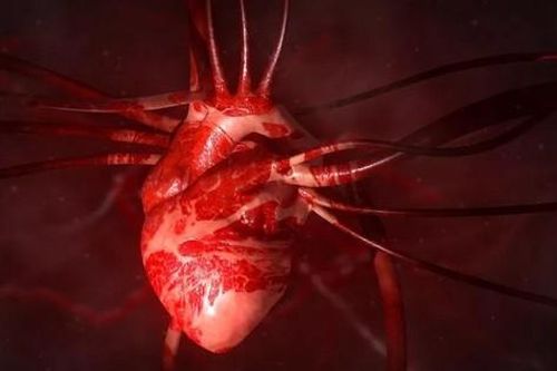Kỳ diệu: 'Hormone tình yêu' oxytocin có thể giúp hàn gắn trái tim tan vỡ