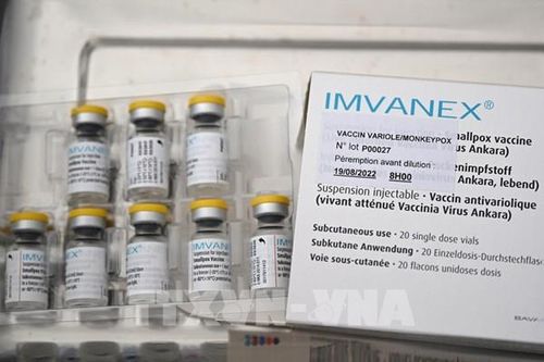 Nên tiêm vaccine đậu mùa khỉ hay không?