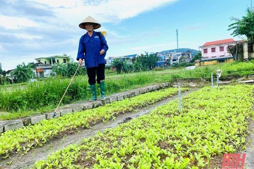 Nông dân Thanh Hóa tập trung khôi phục sản xuất sau mưa lũ