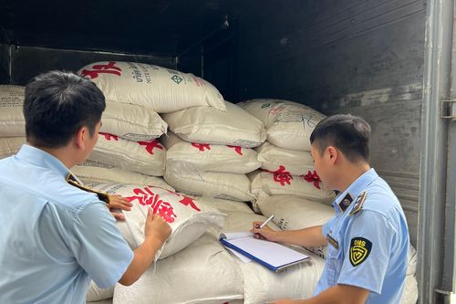 Quảng Bình: Phát hiện hơn 7 tấn đường cát nhập lậu đang trên đường đưa đi tiêu thụ