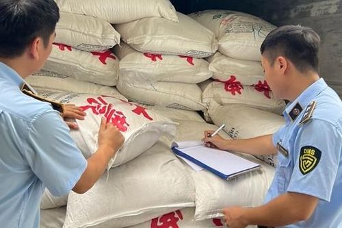 Thu giữ hơn 7 tấn đường không có giấy tờ hợp pháp