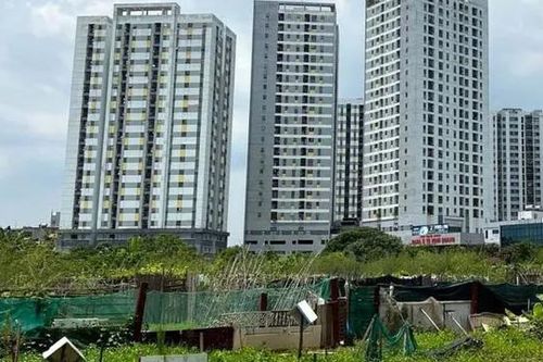 Yêu cầu bàn giao dự án bỏ hoang ở Hoàng Mai để xây trường học