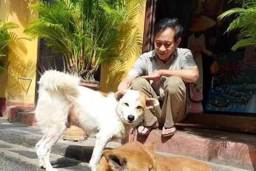Hơn 1 tỷ đồng tài trợ để người Hội An nói không với thịt chó, mèo