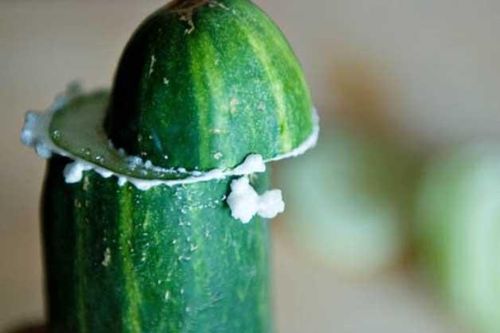 Sai lầm tai hại khi ăn dưa chuột mà nhiều người Việt đang mắc phải nhất