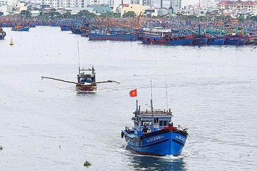 Đà Nẵng: Giá xăng dầu giảm, nhiều tàu cá vươn khơi