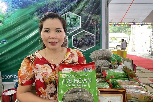 Gặp người đưa miến dong Na Rì của tỉnh Bắc Kạn xuất ngoại