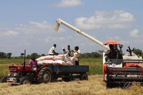 Nỗ lực bảo đảm an ninh lương thực tại châu Á-Thái Bình Dương