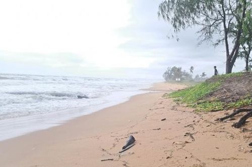 Tiếp tục xác minh, làm rõ về thi thể có căn cước công dân Trung Quốc tại Phú Quốc
