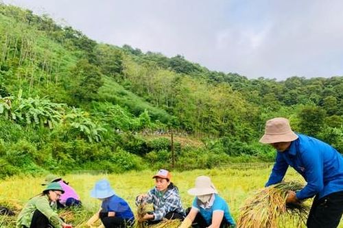 Lan tỏa sắc xanh tình nguyện sau mưa lũ