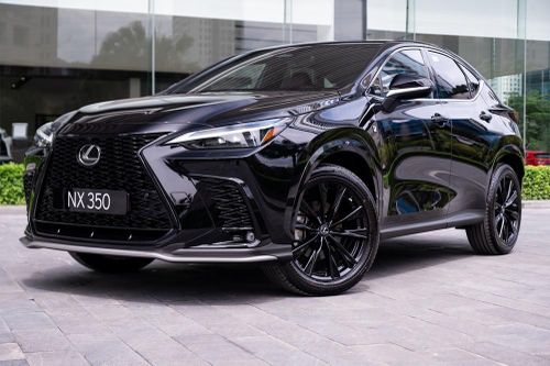 Lexus NX350 triệu hồi ở Việt Nam vì nguy cơ tụt dốc do phanh đỗ hỏng