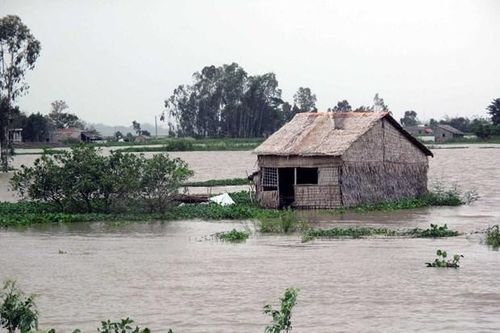 An Giang: Mực nước đầu nguồn sông Cửu Long vượt báo động 1