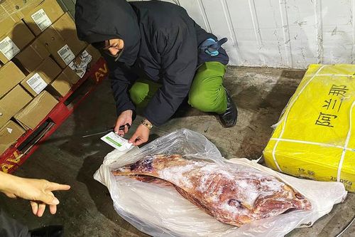 Phát hiện 90 tấn thực phẩm đông lạnh hết hạn sử dụng 2 năm chuẩn bị tuồn ra thị trường
