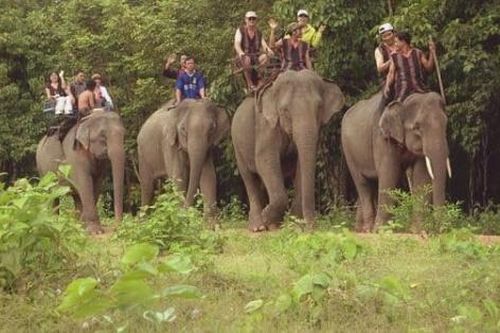 Trải nghiệm ở Yok Đôn khu rừng lớn nhất Việt Nam