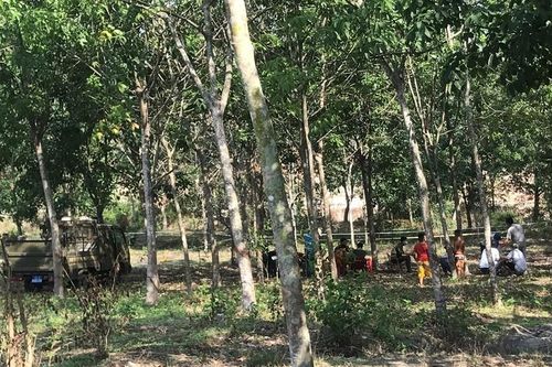 Phát hiện nam thanh niên tử vong trong rừng cao su