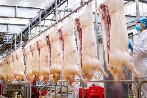 Hà Nội sẽ có chương trình riêng phát triển nông nghiệp ứng dụng công nghệ cao