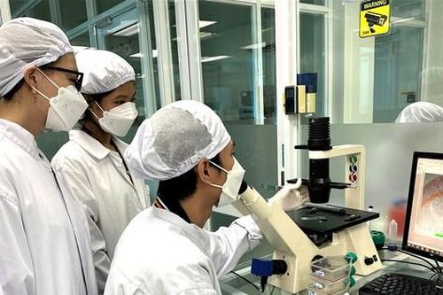 Xếp hạng giúp cải tiến chất lượng giáo dục đại học