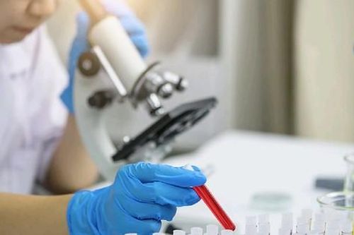 Phát hiện đột phá trong điều trị bệnh bạch cầu