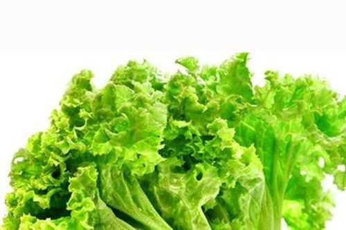 Những người nên tránh xa rau xà lách kẻo 'rước thêm bệnh vào người'