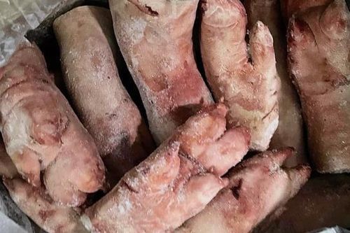 Phát hiện kho chứa 90 tấn thực phẩm đông lạnh hết hạn sử dụng 2 năm